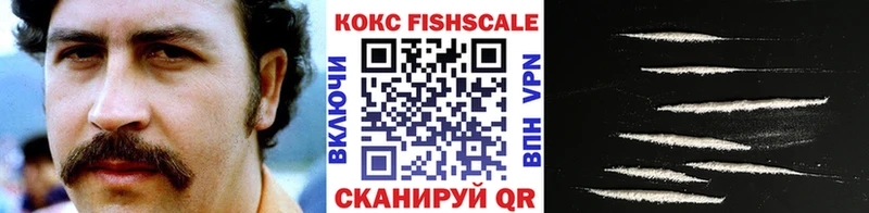 Cocaine FishScale  цена   Козловка 