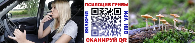 Галлюциногенные грибы ЛСД  где купить   Козловка 
