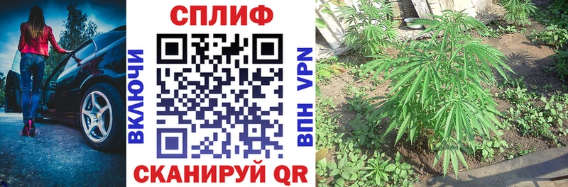 где можно купить   Козловка  Бошки Шишки сатива 
